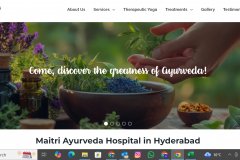 Maitri Ayurveda | SEO Project